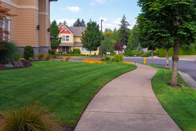 Sidewalk Replacement