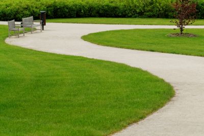 Sidewalk Replacement in Progress